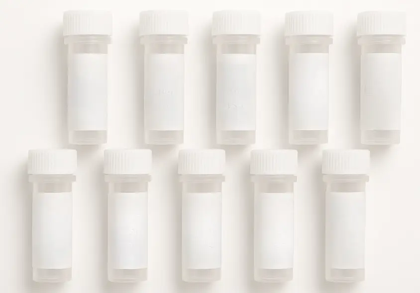 BIRC4 293T Cell Transient Overexpression Lysate(Denatured)