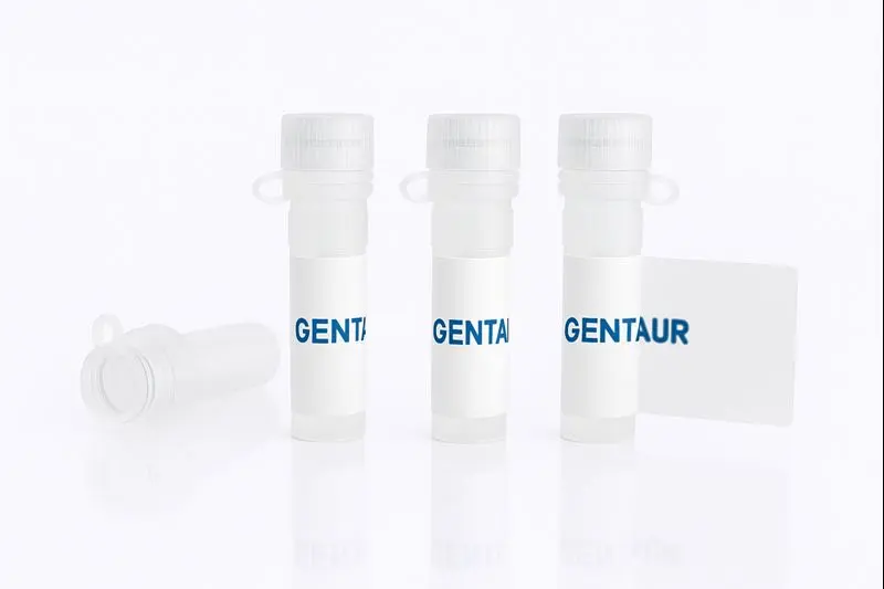 BCMA/TNFRSF17, Cynomolgus (Biotinylated, HEK293, His-Avi)