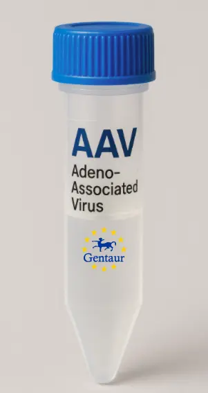 BEST3 AAV Vector (Mouse) (CMV)