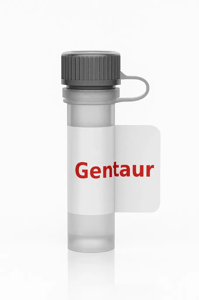 BMP3 Rabbit Polyclonal Antibody