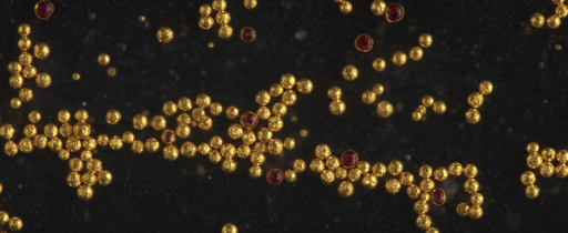 [ABGN-30-PAA] Gold Nanoparticles, 30 nm-PAA